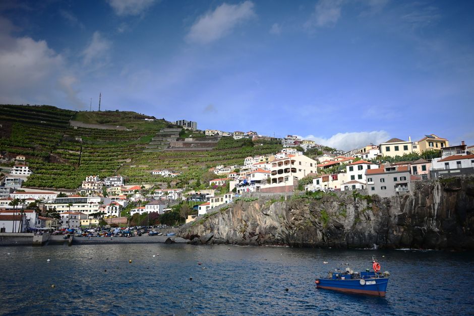 Charming coastal village in Madeira, Portugal, featuring terraced vineyards and blue ocean views under a sunny sky.